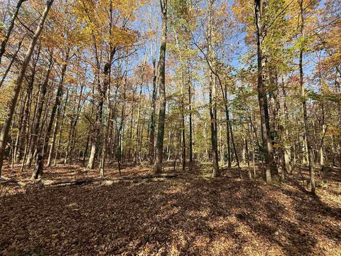 Mostly Wooded Recreation Land