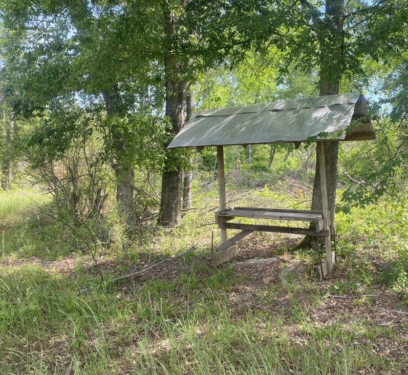 Picture 2
