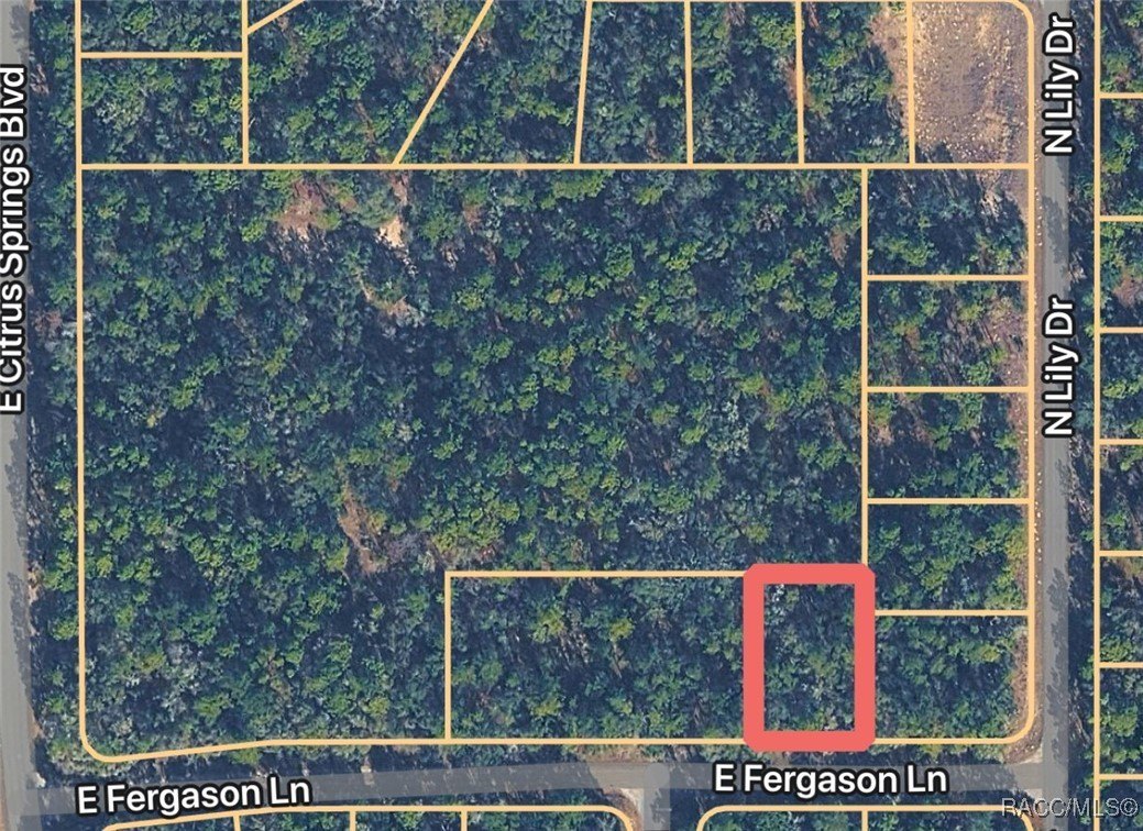 Residential Lot in Citrus Springs