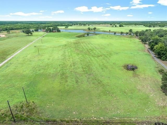 Picture 11
