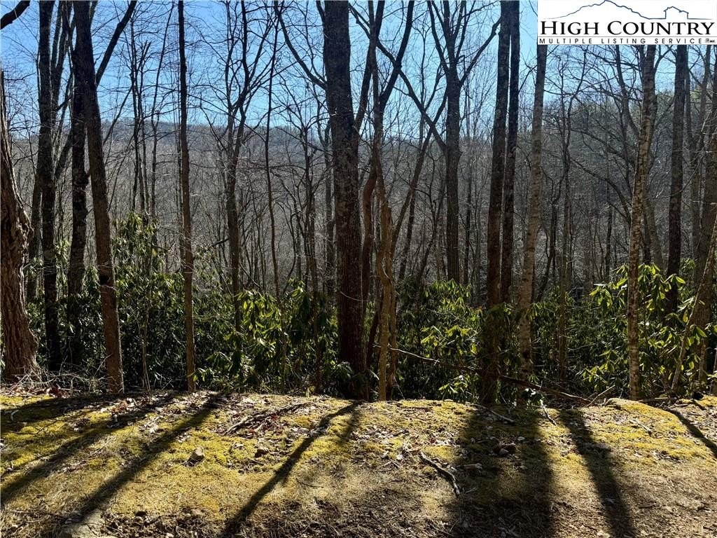 Undeveloped Land Near Buckeye Center