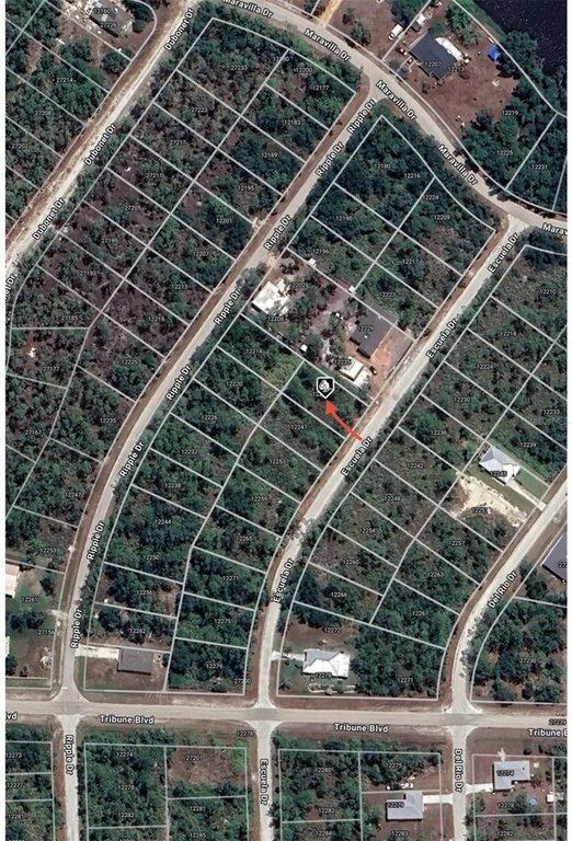 Picture 5