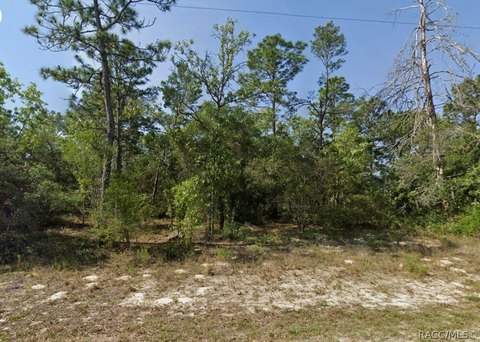 Land, Dunnellon, FL