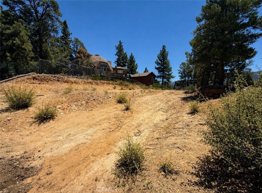 Picture 6