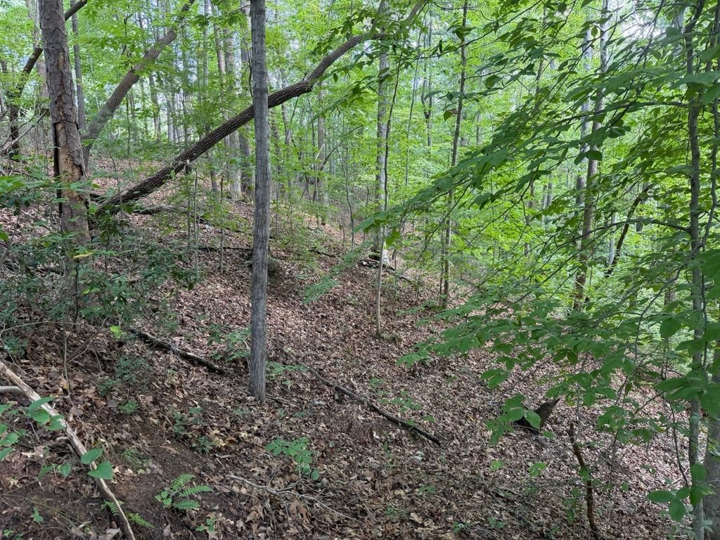 Picture 21