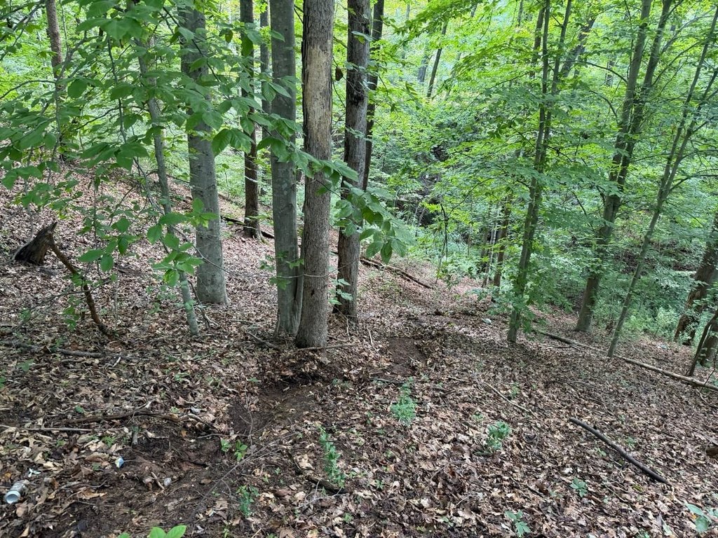 Picture 22