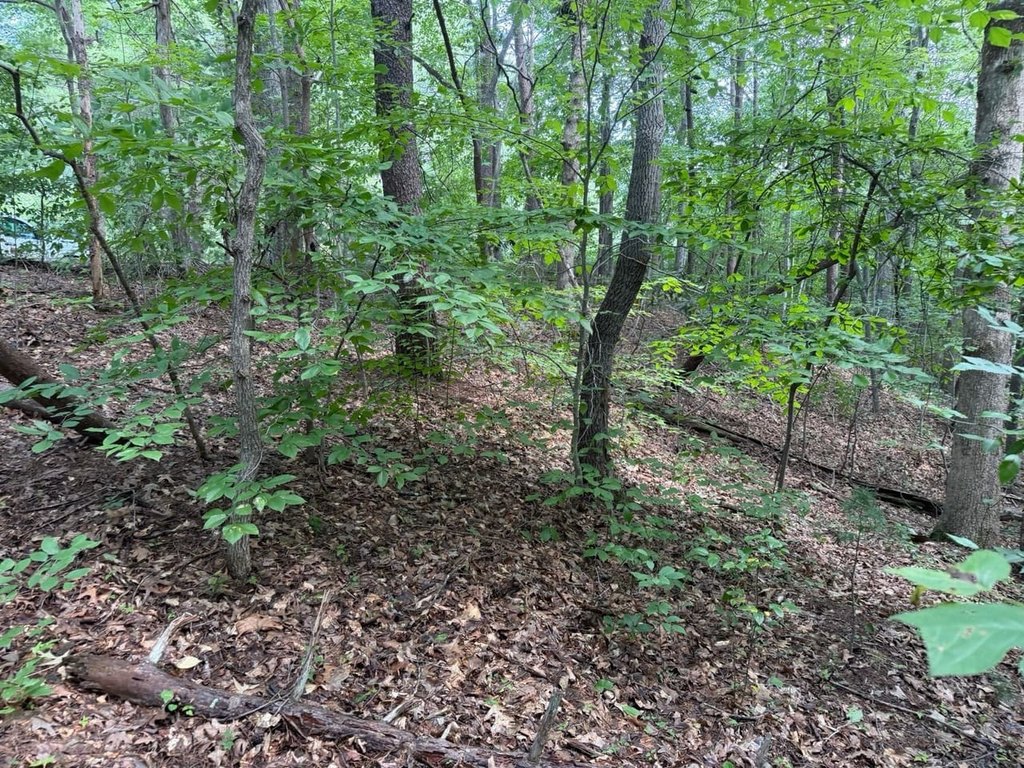 Picture 23