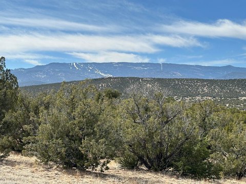 LAND - Sandia Park, NM