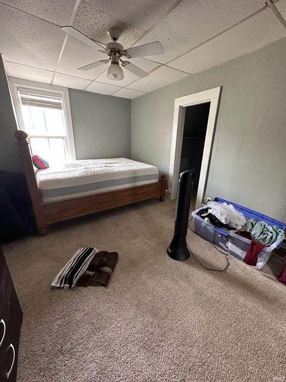Picture 16