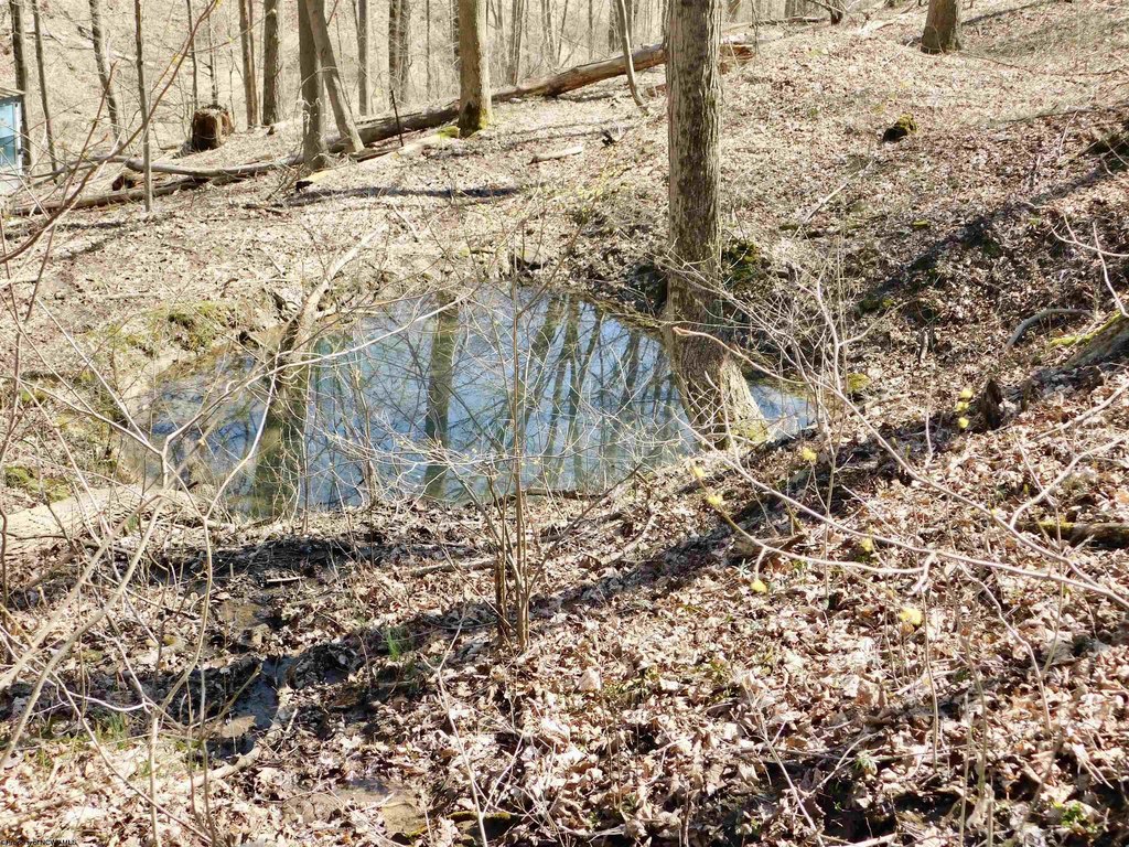 Picture 5