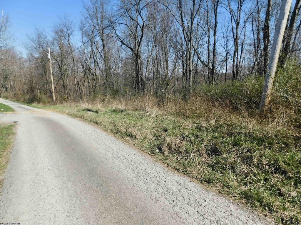 Picture 2