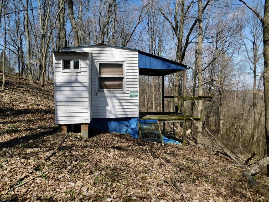 Picture 23