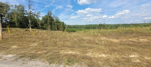 Land, DOVER, TN