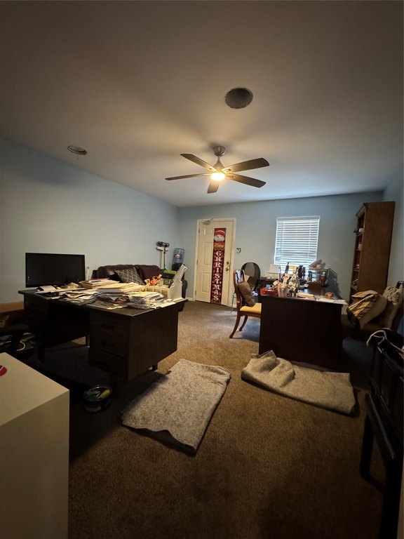 Picture 9