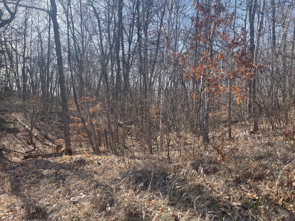Picture 13