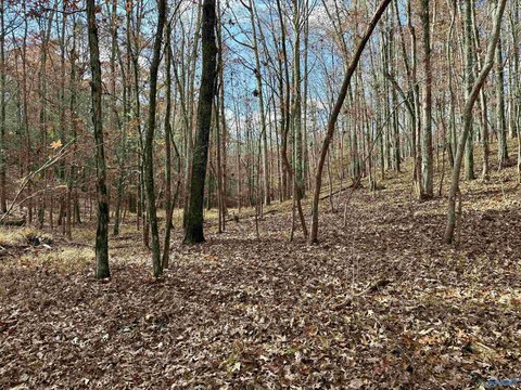 Wooded Land in Gated Community