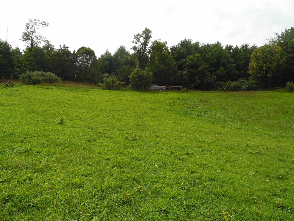 Picture 6