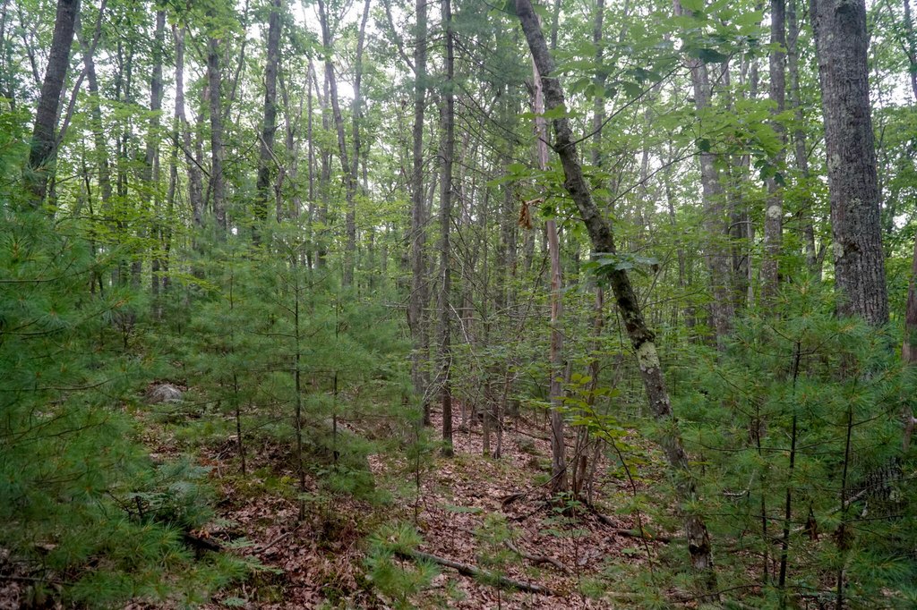 Picture 8