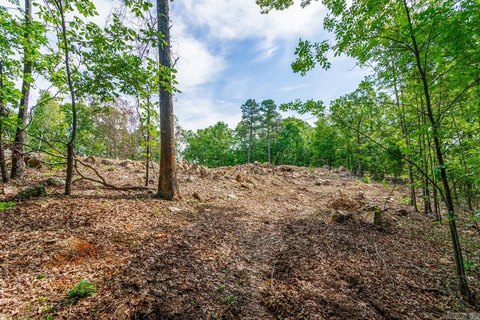 Premium Homesite with Seasonal Views