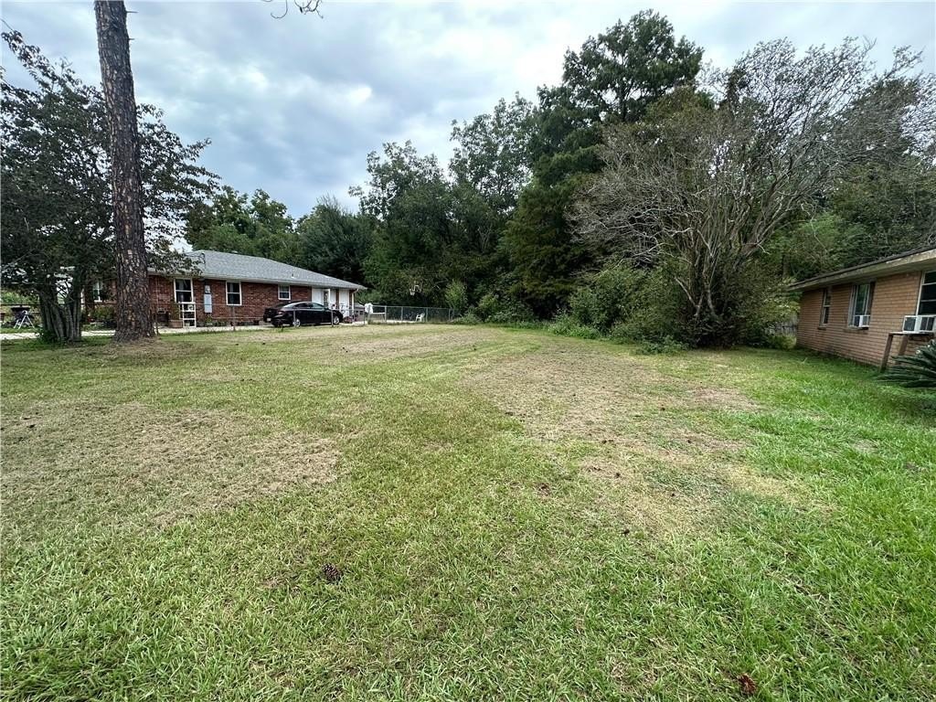 Picture 3