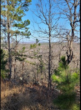 Recreational Hunting Land Tract