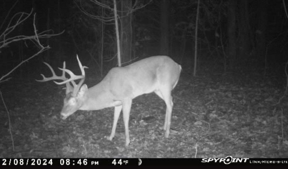 Picture 2