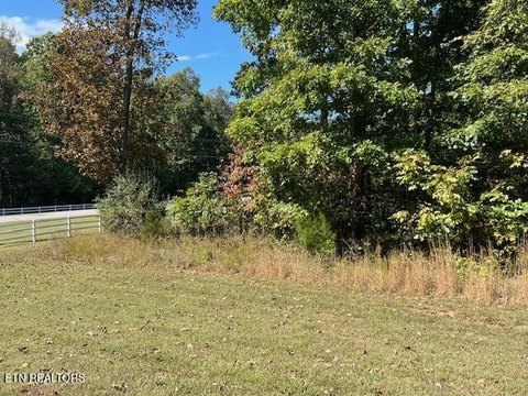 Lots & Acreage, Rockwood, TN