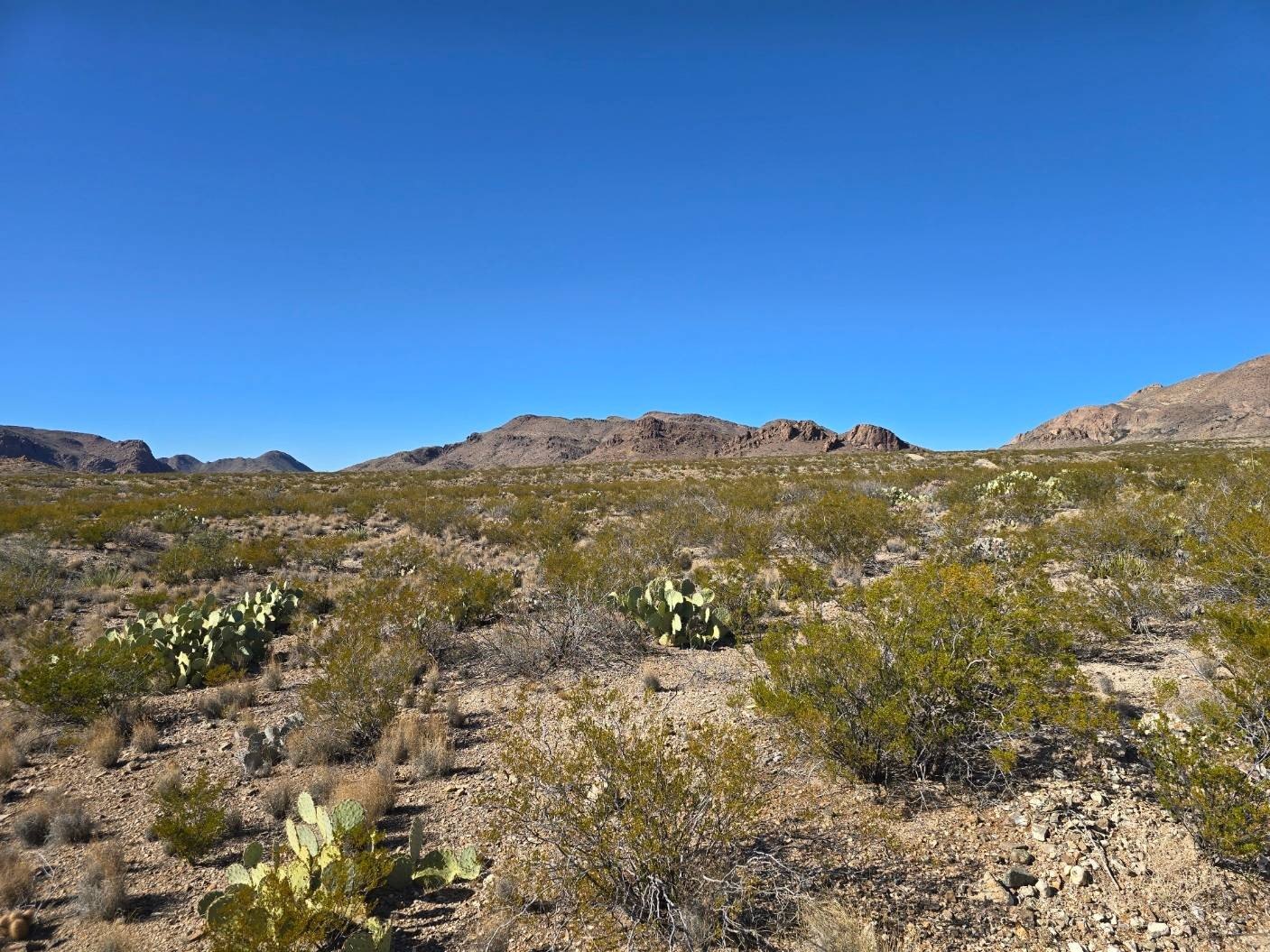 40 Acres Near Christmas Mountains