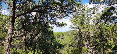 Hill Country Land Parcel