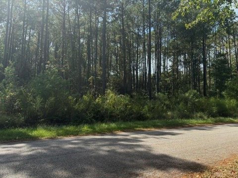 Land, Pollock, LA