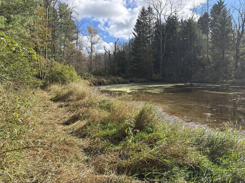 Picture 25