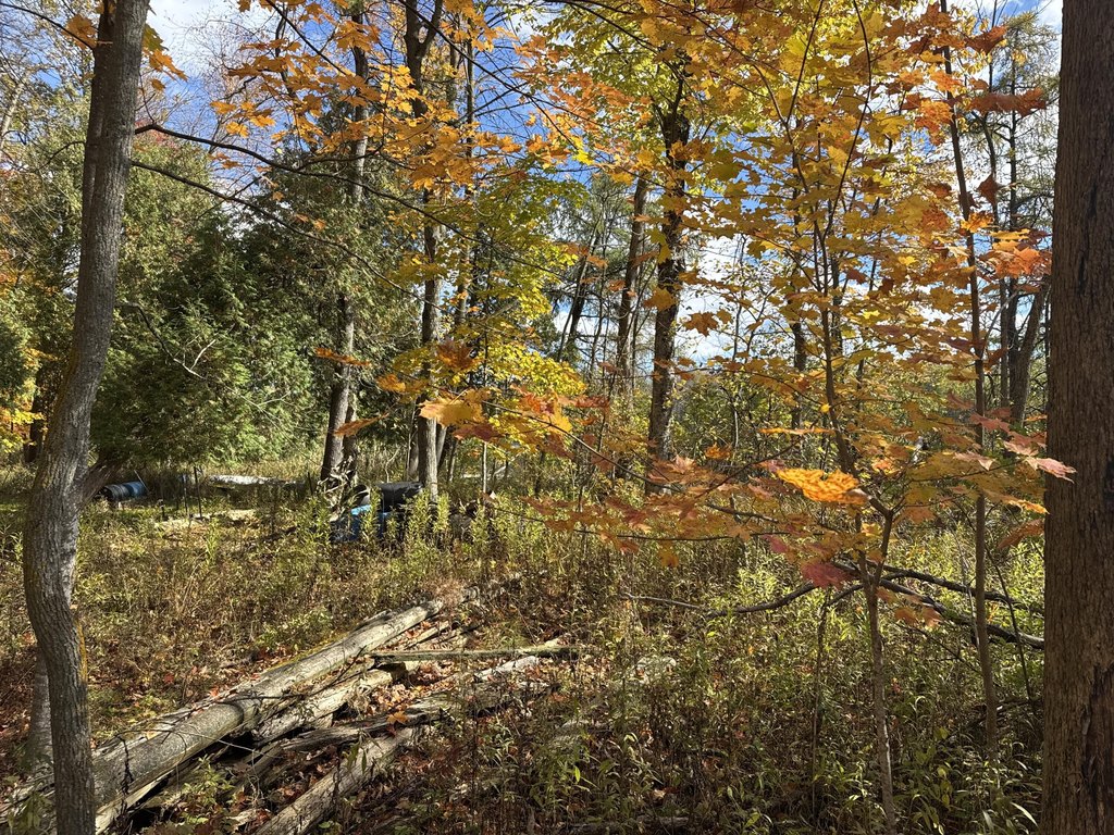 Picture 18