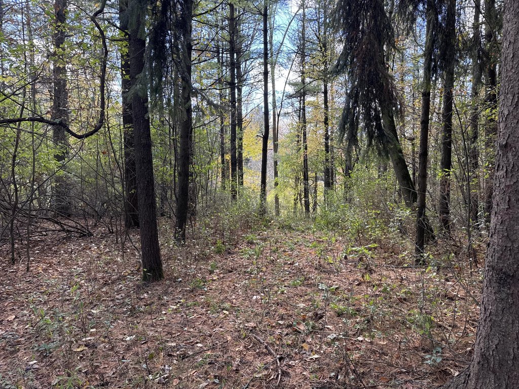 Picture 23
