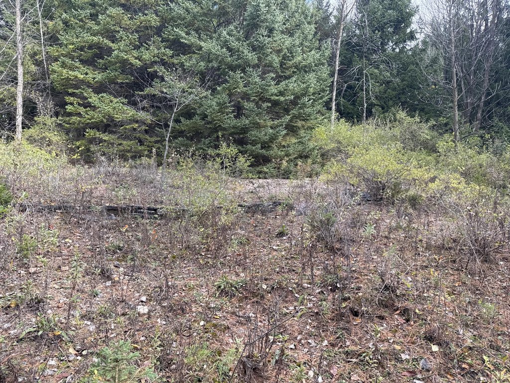 Picture 24