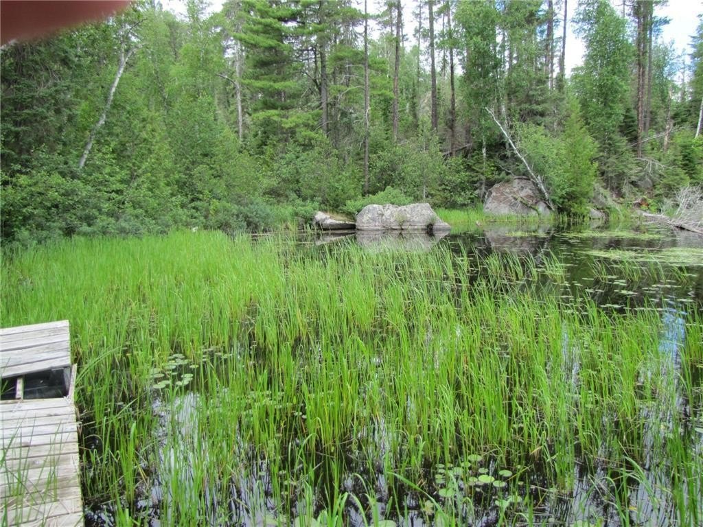 Picture 25
