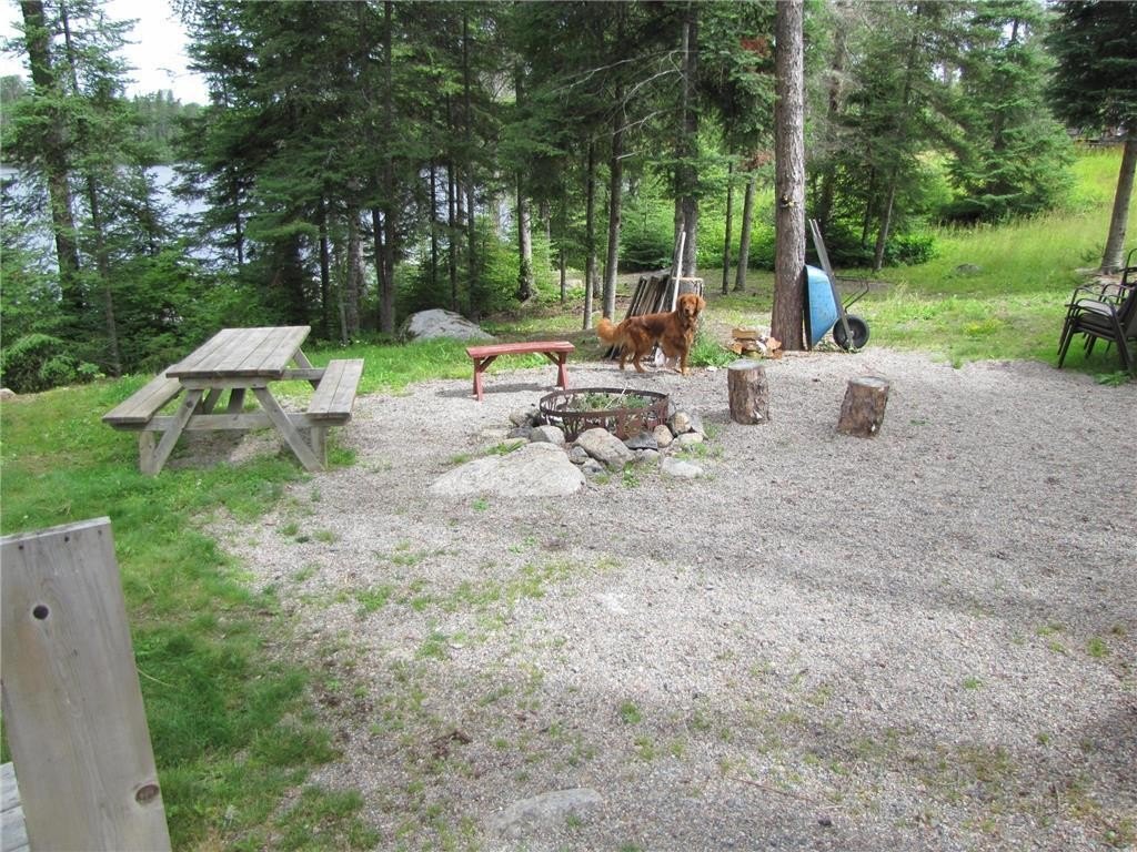 Picture 10