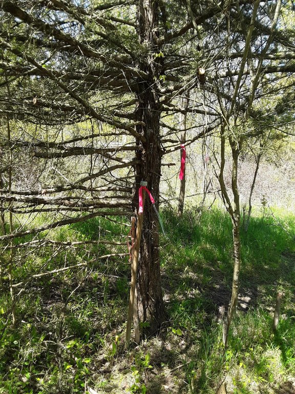 Picture 12