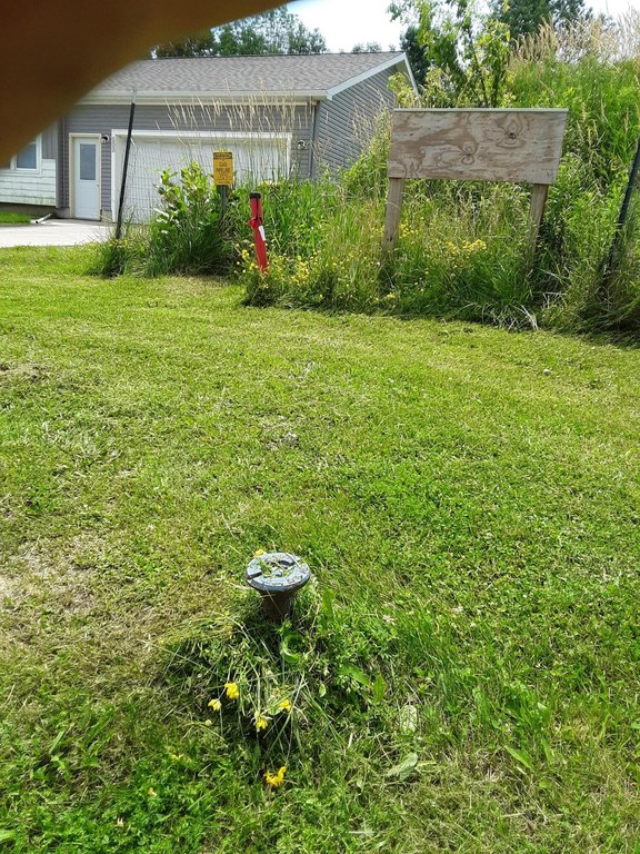 Picture 10