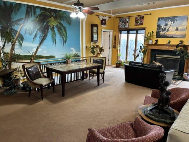 Picture 5