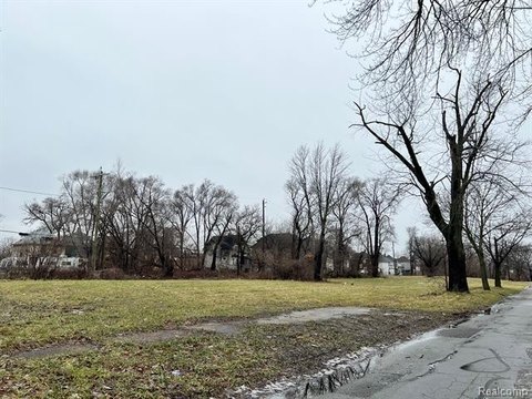 Detroit Land Infill Opportunity