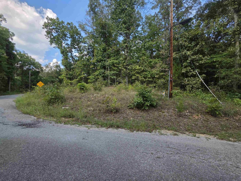 Picture 8