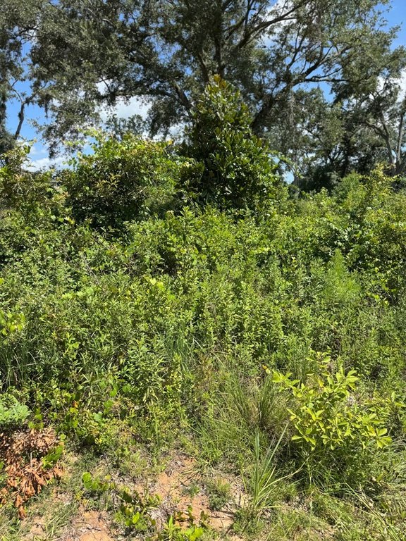 Picture 5