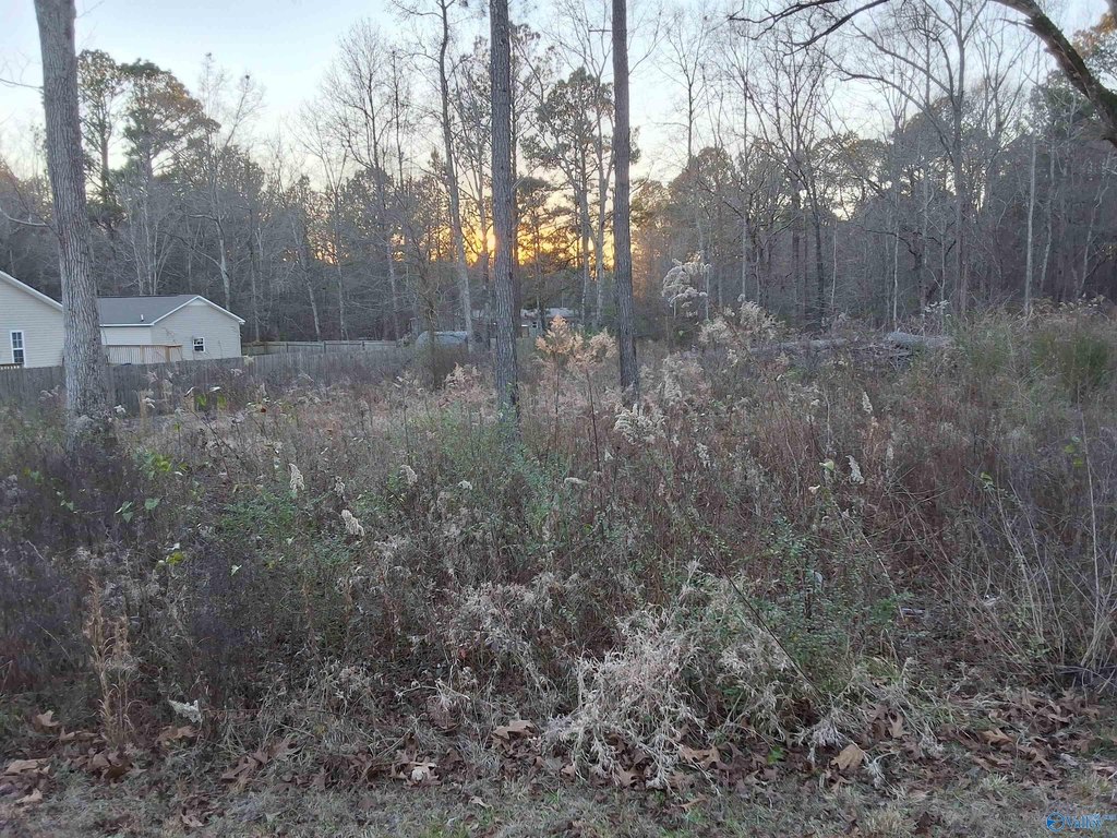 Picture 16