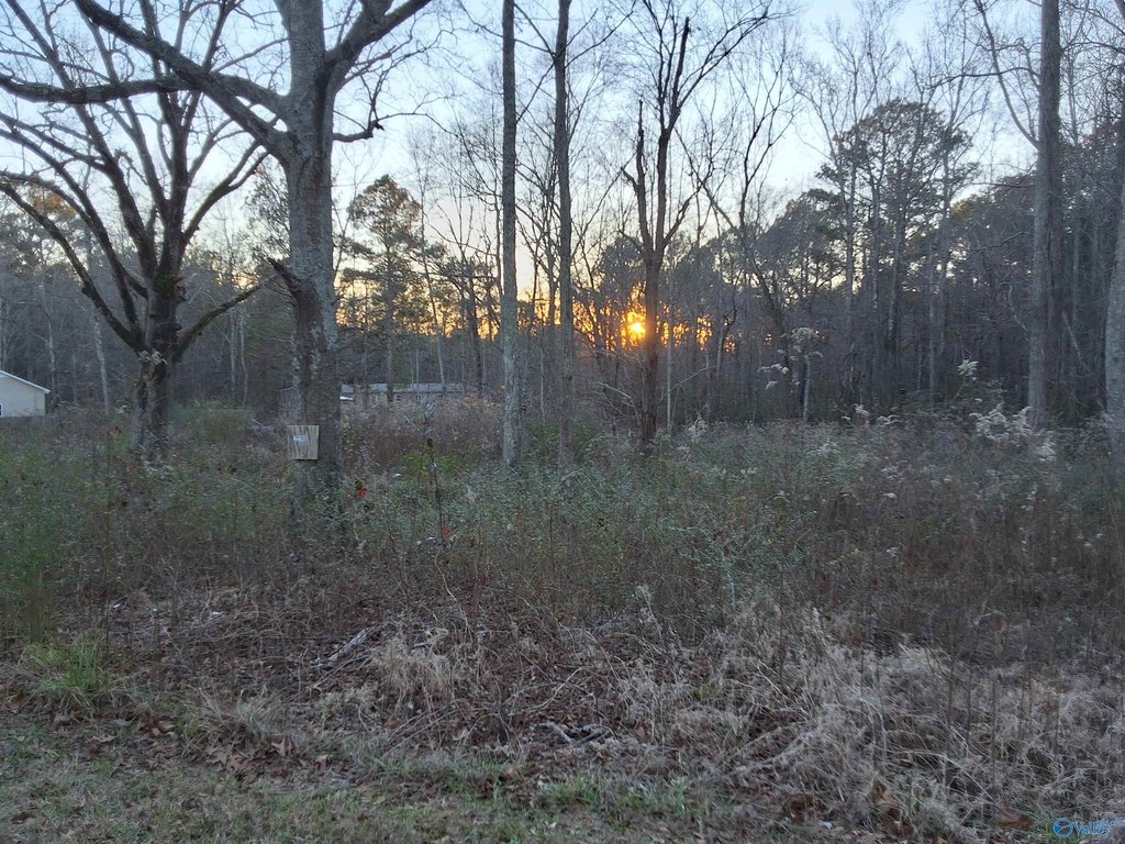 Picture 5