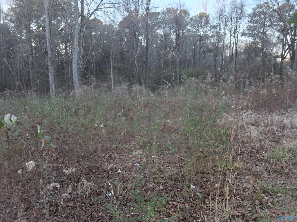 Picture 12
