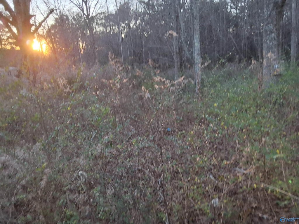 Picture 18