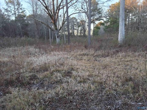 LAND - Gadsden, AL