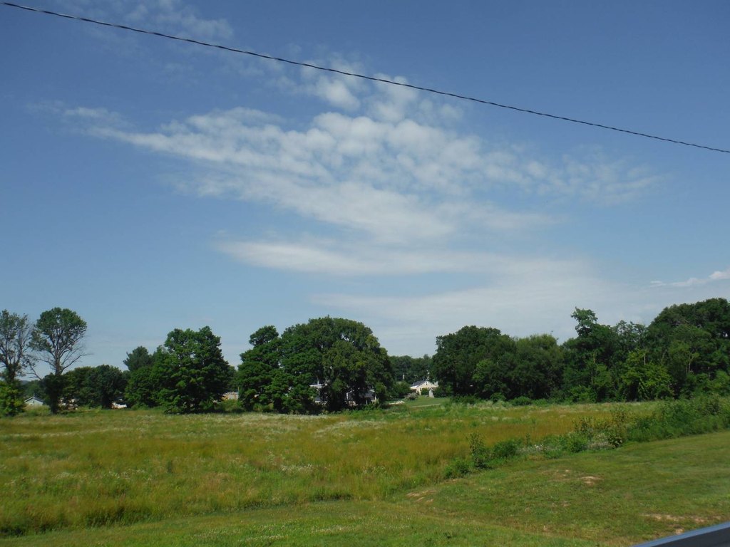 Picture 14