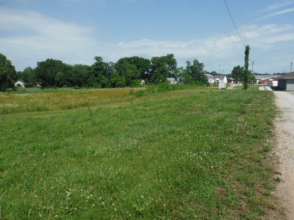 Picture 19