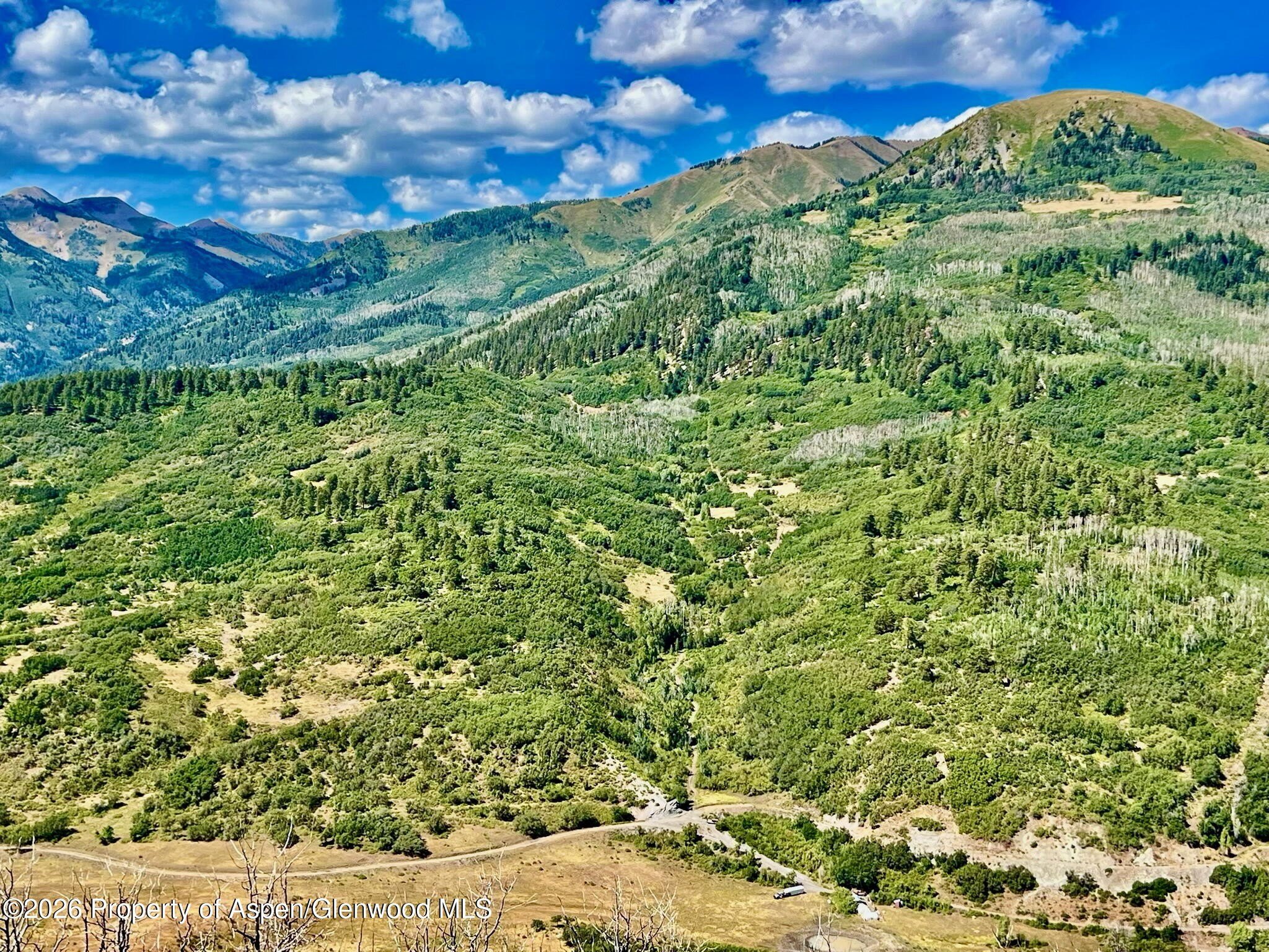 Durango Land with Forest Access
